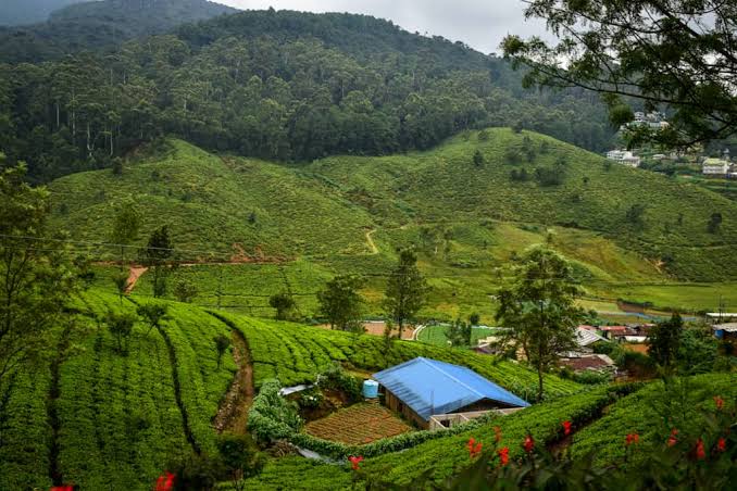 Sri Lanka Uncovered – Colombo, Kandy & Bentota